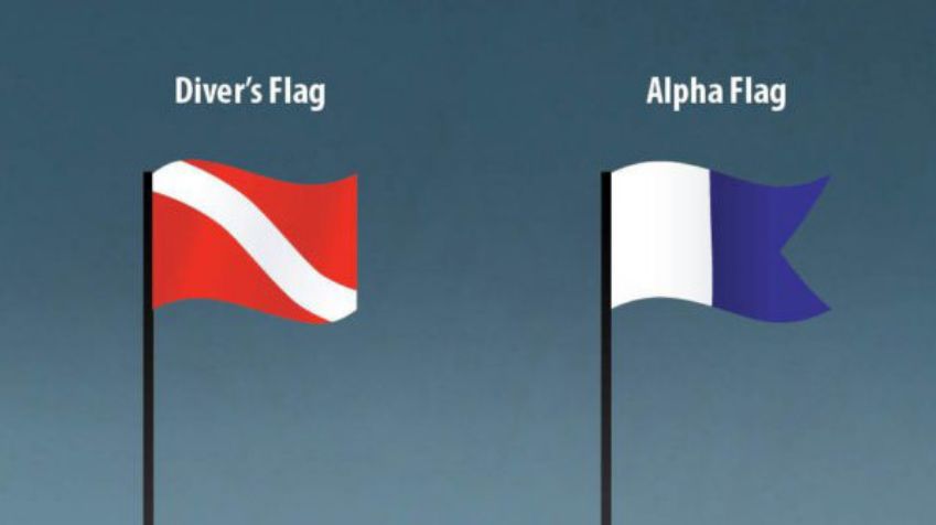 Búvár zászlók