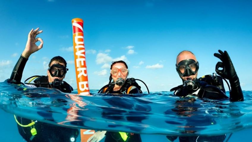 Safety Diver